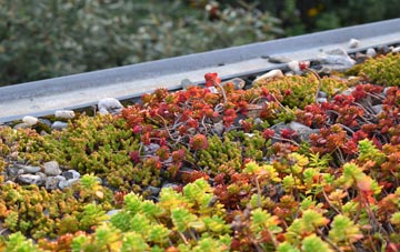 the cost of West Barkwith green roof installation