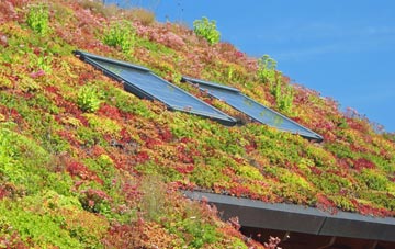 West Barkwith living roof systems